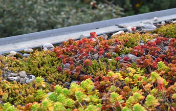 the cost of Bishop Auckland green roof installation